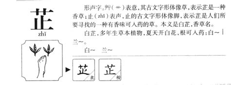 芷 姓名學|【芷 名字 意思】芷藴藏文雅氣質 女孩取名絕妙好字 芷其名字含義。